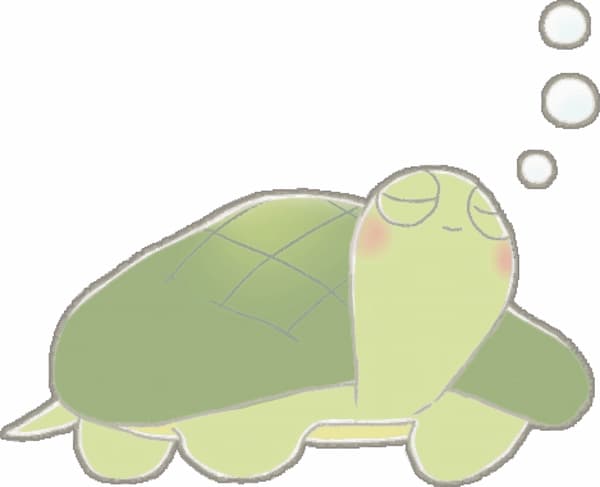 かめたん
